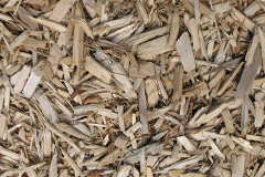 biomass boilers Finavon