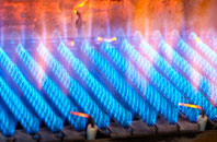 Finavon gas fired boilers